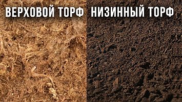 Торф верховой и низинный: отличия и применение
