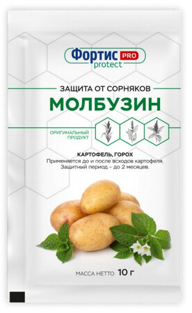 Молбузин