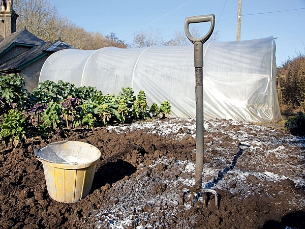 доломитика