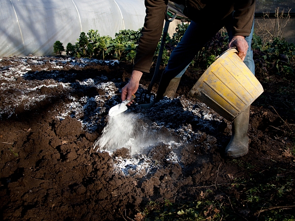 удобрение доломитовой мукой